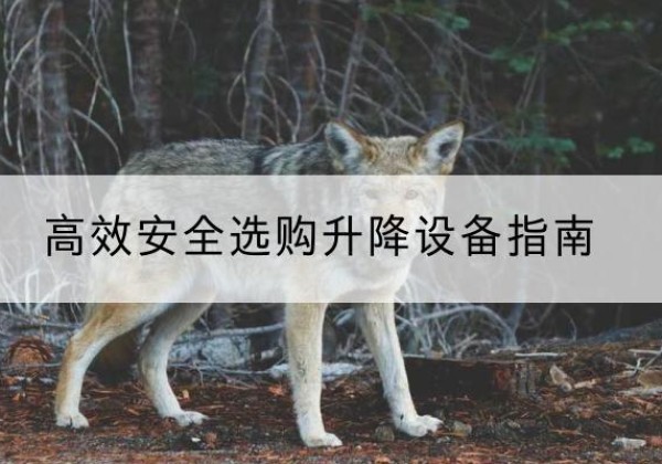 务川升降货梯厂家推荐-*安全选购升降设备指南