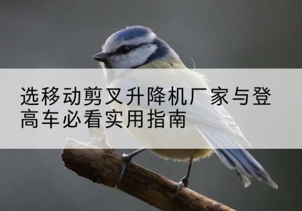 务川电动升降机厂家-选移动剪叉升降机厂家与登高车必看实用指南